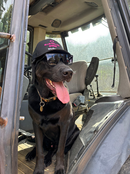 BCB workwear snapback